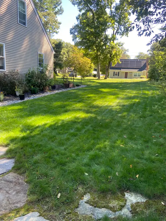 Customer photo of work by MissionGreen Services Inc, from Chrisonthia All Things Glam's review