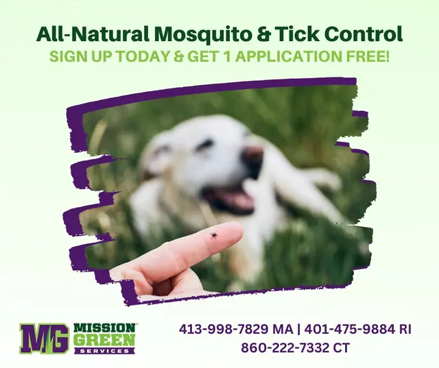 MissionGreen Services Inc — photo from the business 9