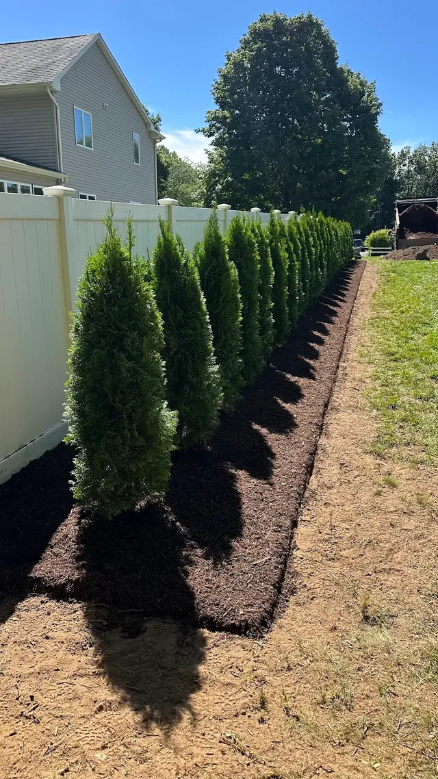 CT Master Lawn & Services LLC — photo from the business 11
