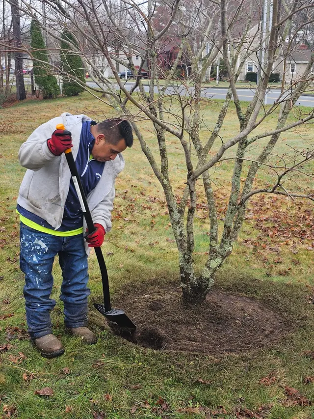 KB Lawn Mowing and Tree Service — photo from the business 7