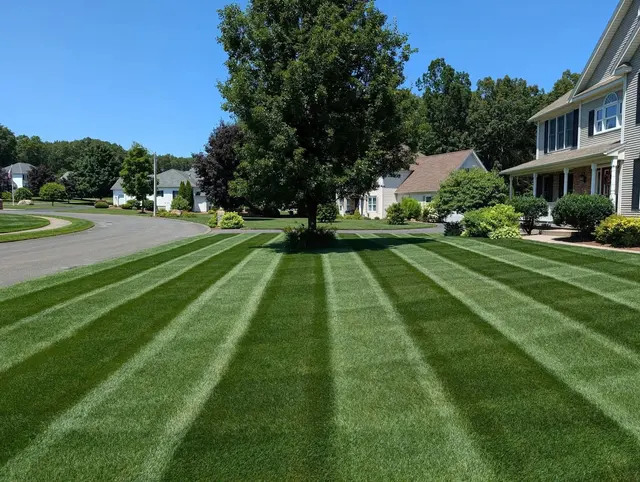 KB Lawn Mowing and Tree Service — photo from the business 3