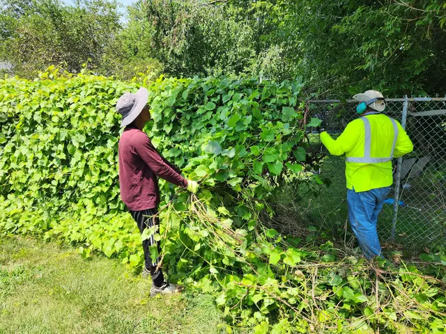 KB Lawn Mowing and Tree Service — photo from the business 6