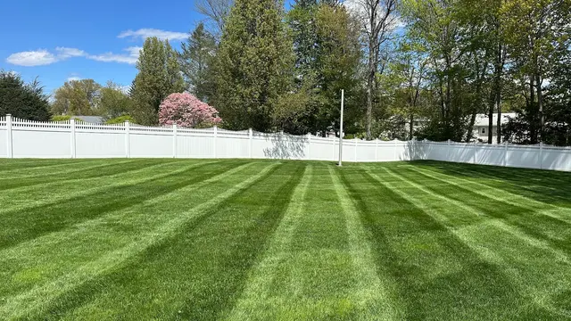Lawn Services of Newington — photo from the business 2