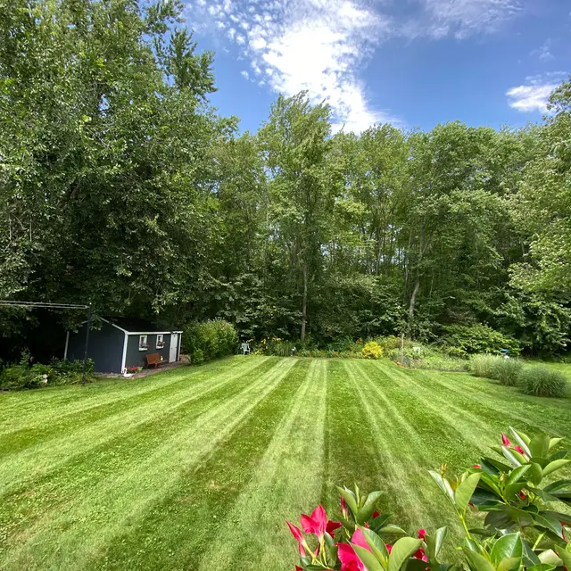Lawn Services of Newington — photo from the business 6