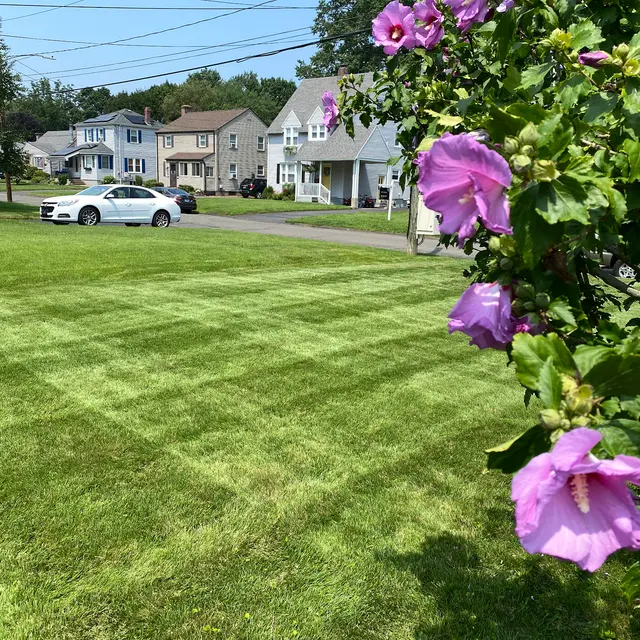 Lawn Services of Newington — photo from the business 11