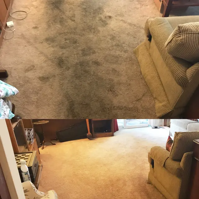 Couch & Carpet Cleaning Doctor Fabric — photo from the business 2