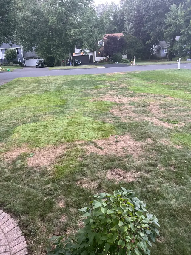 Customer photo of work by Green Choice LLC, from Gregg Lombardi's review