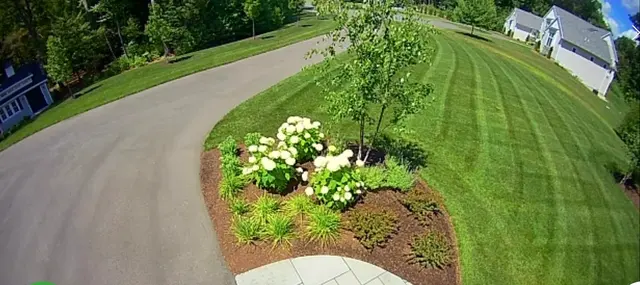 Green Choice LLC — customer photo 5