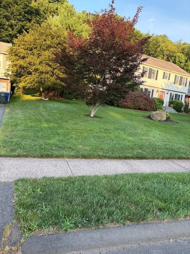 Customer photo of work by Green Choice LLC, from First Name's review