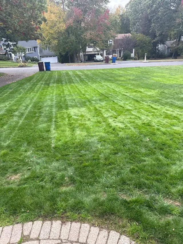 Customer photo of work by Green Choice LLC, from Gregg Lombardi's review