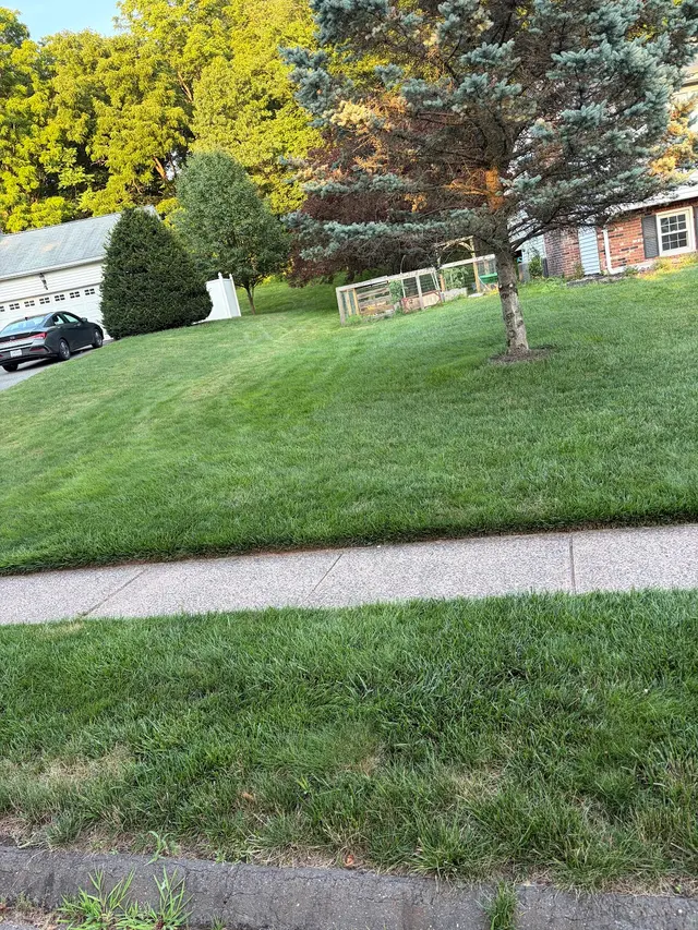 Customer photo of work by Green Choice LLC, from First Name's review