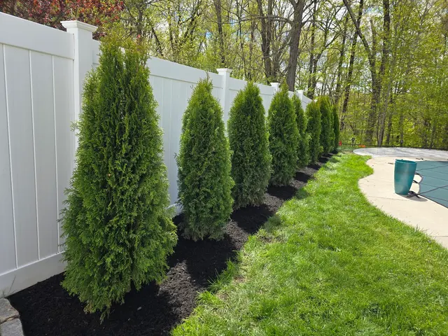 The Shrub Guys — photo from the business 4