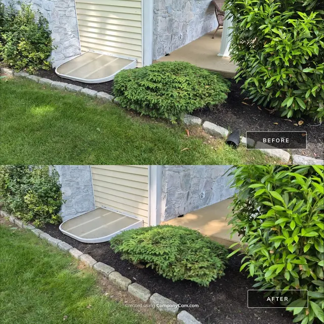 AMERICAN LANDSCAPE AND LAWN SCIENCE LLC — photo from the business 9