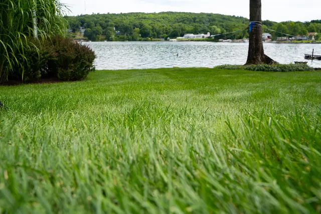 Premier Topdressing Lawn Care — photo from the business 10