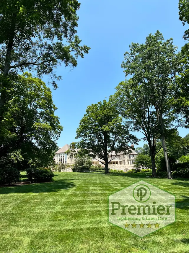 Premier Topdressing Lawn Care — photo from the business 2