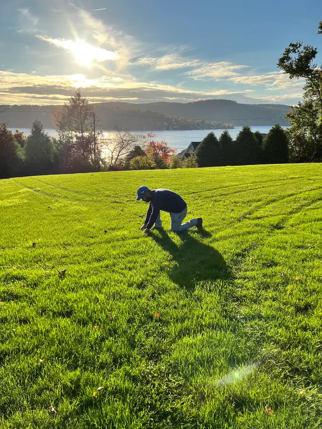 Premier Topdressing Lawn Care — photo from the business 12
