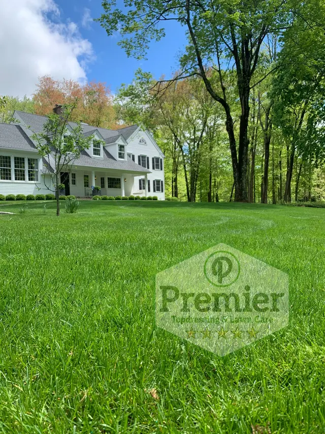 Premier Topdressing Lawn Care — photo from the business 4
