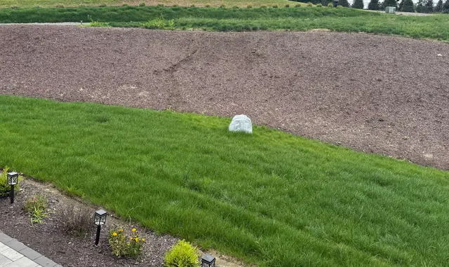 Customer photo of work by Premier Topdressing Lawn Care, from Sameel Ilyas's review