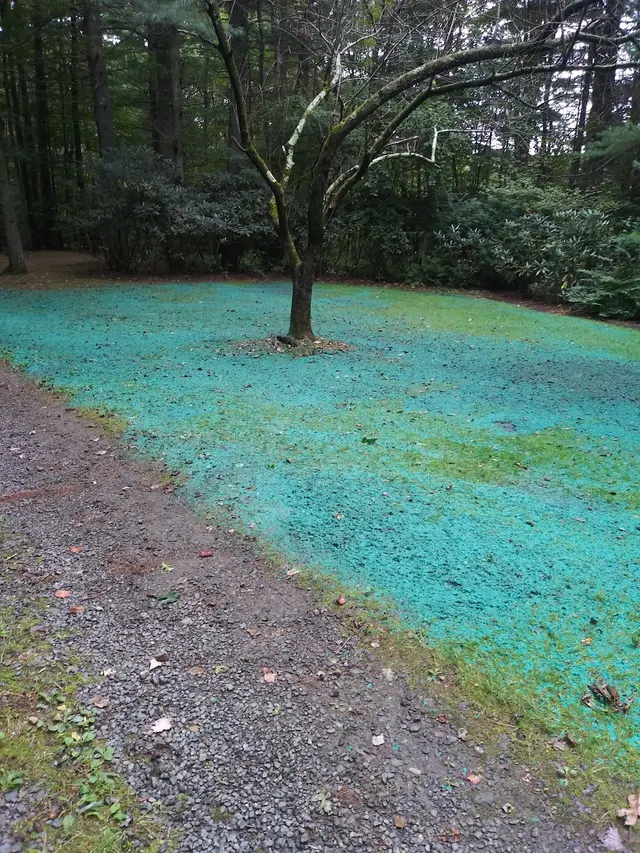 Greg’s Lawn Care — photo from the business 4