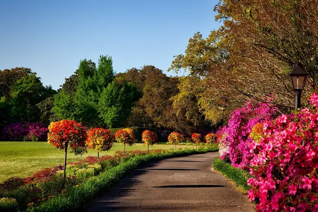 Greg’s Lawn Care — photo from the business 6