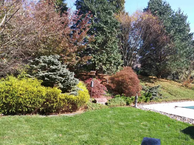 Greg’s Lawn Care — photo from the business 9