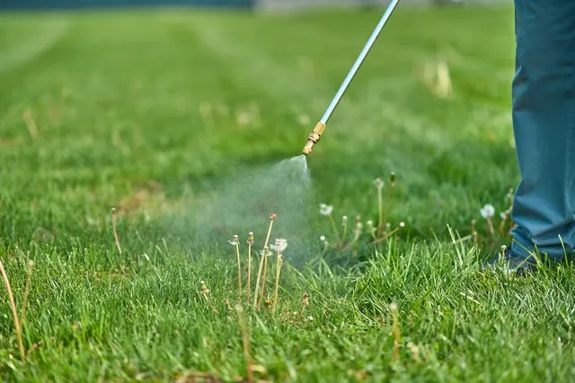 Pure Pest + Lawn — photo from the business 5