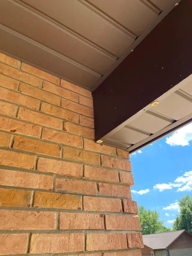 McCarthy Pest & Termite Control — customer photo 11