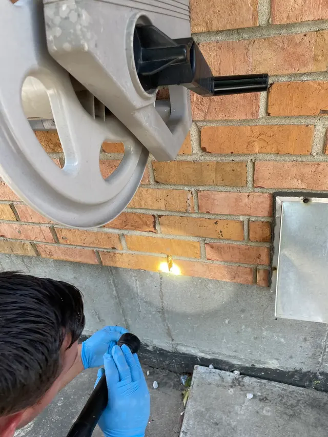 McCarthy Pest & Termite Control — customer photo 9