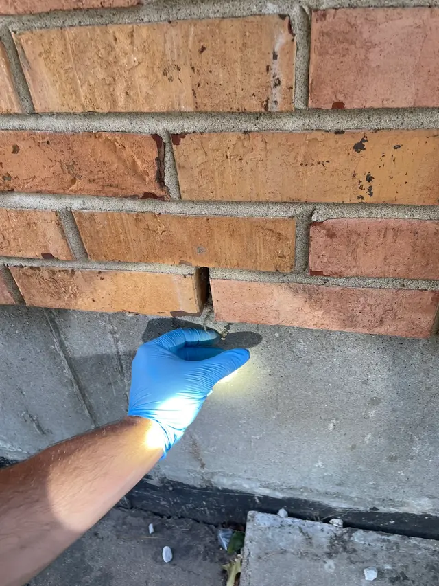 McCarthy Pest & Termite Control — customer photo 10