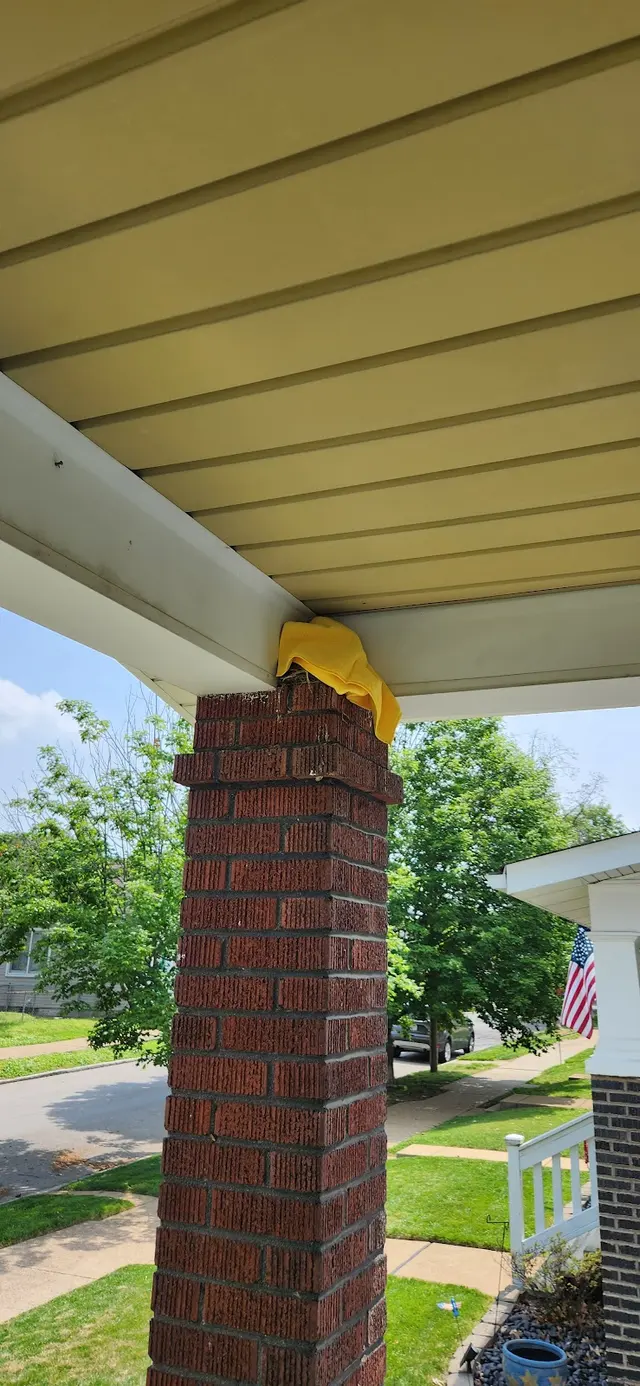 Holper's Pest & Animal Solutions STL — customer photo 12