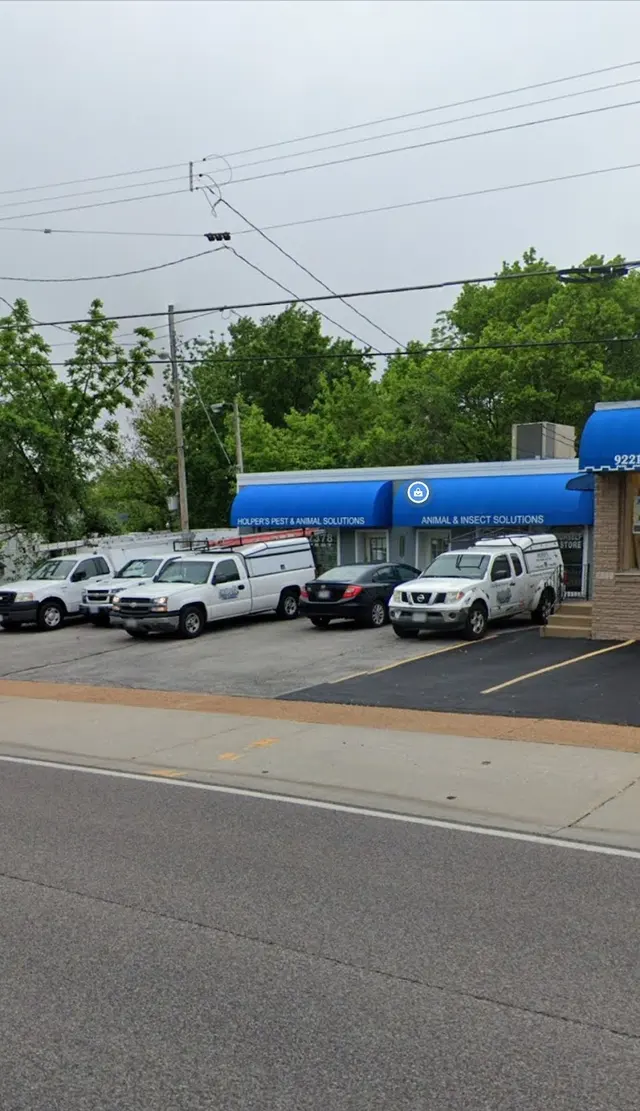 Holper's Pest & Animal Solutions STL — customer photo 5