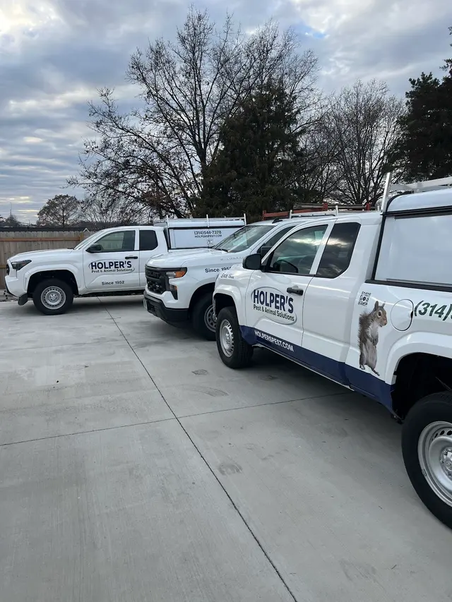 Holper's Pest & Animal Solutions STL — photo from the business 4