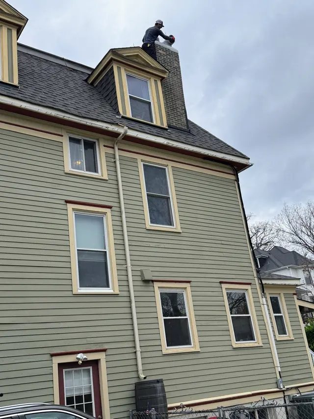 Holper's Pest & Animal Solutions STL — customer photo 10