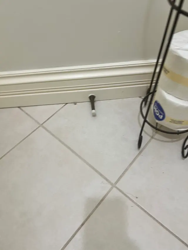 Customer photo from Felix's review