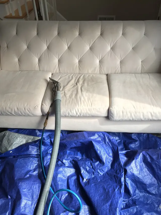 All American Dry Carpet & Upholstery Cleaning — photo from the business 12