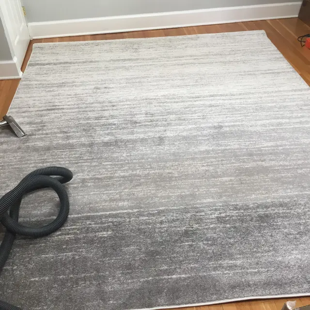All American Dry Carpet & Upholstery Cleaning — photo from the business 3