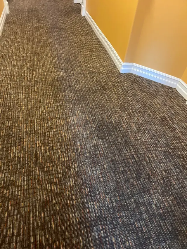 All American Dry Carpet & Upholstery Cleaning — customer photo 1