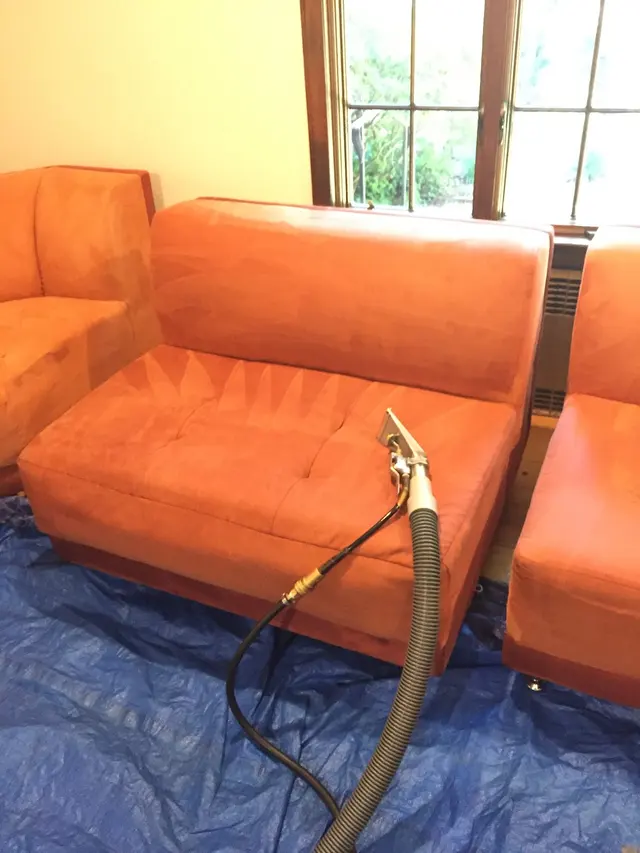 All American Dry Carpet & Upholstery Cleaning — photo from the business 5