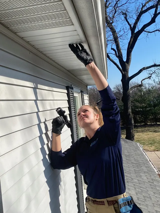 Rottler Pest Solutions — photo from the business 6