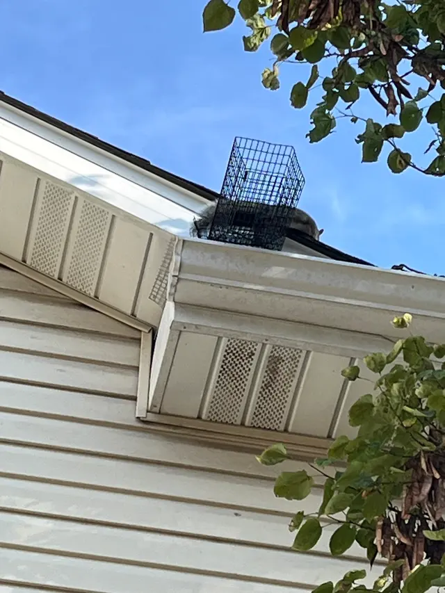 Rottler Pest Solutions — customer photo 3