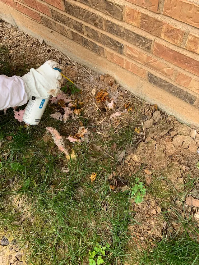 Rottler Pest Solutions — customer photo 9