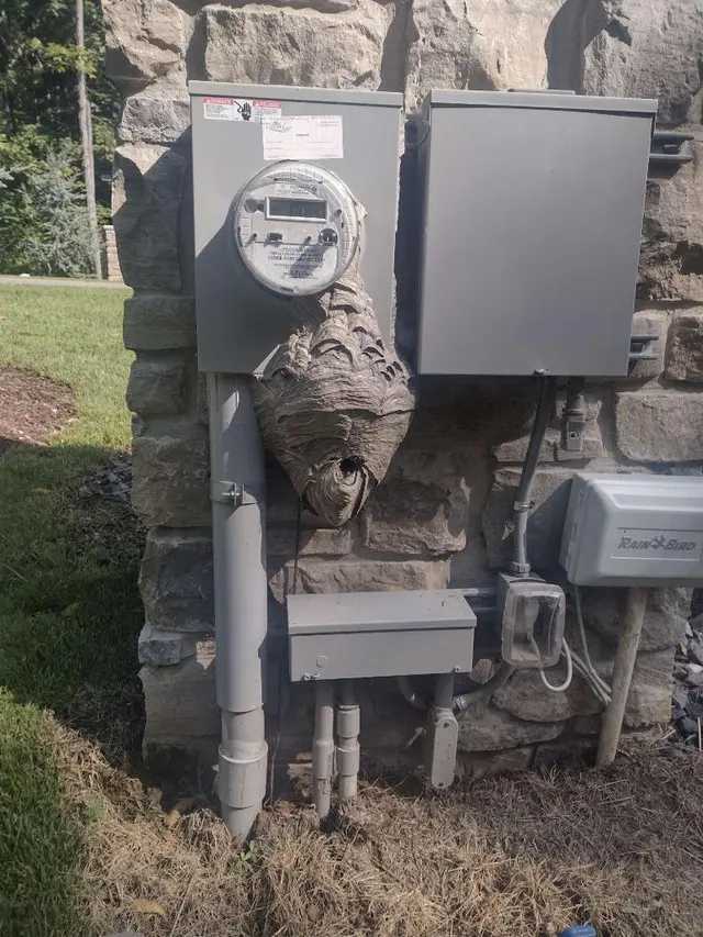 All Solutions Pest Control — photo from the business 11