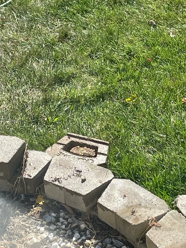 All Solutions Pest Control — customer photo 12