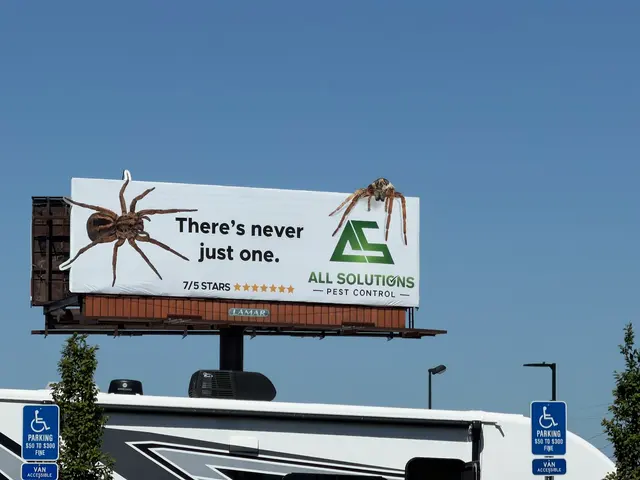 All Solutions Pest Control — photo from the business 10