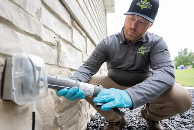 Amco Ranger Termite & Pest Solutions — photo from the business 12