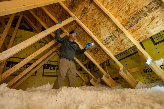 Amco Ranger Termite & Pest Solutions — photo from the business 6
