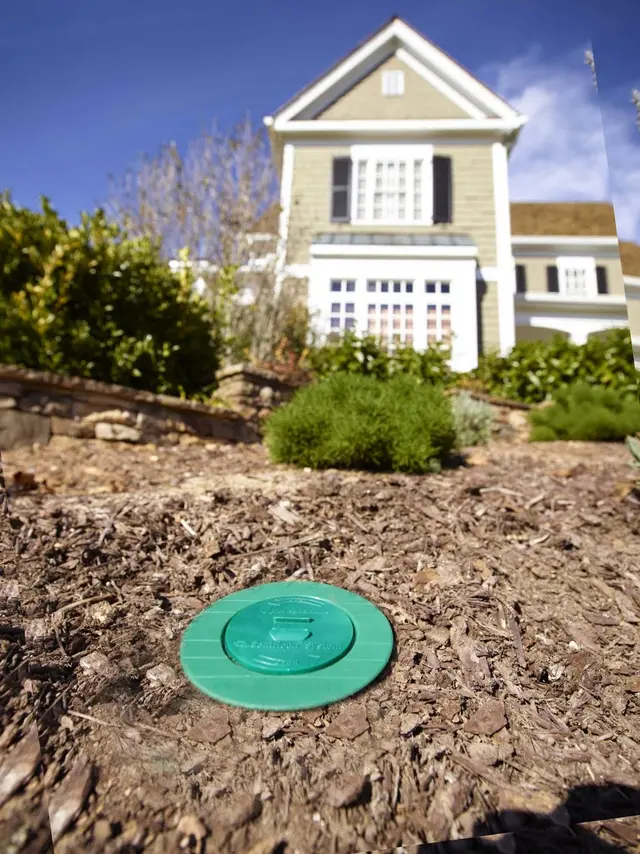Amco Ranger Termite & Pest Solutions — photo from the business 10
