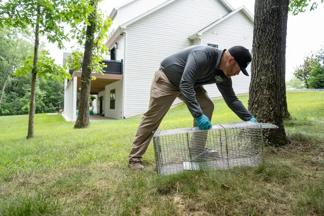 Amco Ranger Termite & Pest Solutions — photo from the business 5