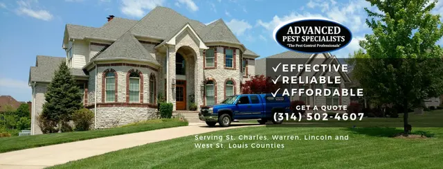 Advanced Pest Specialists — photo from the business 12