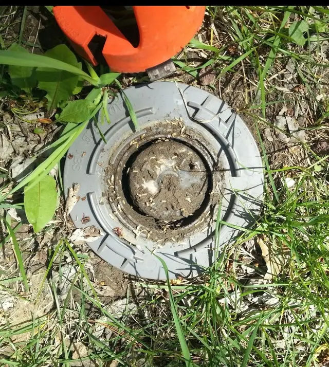 Advanced Pest Specialists — photo from the business 8